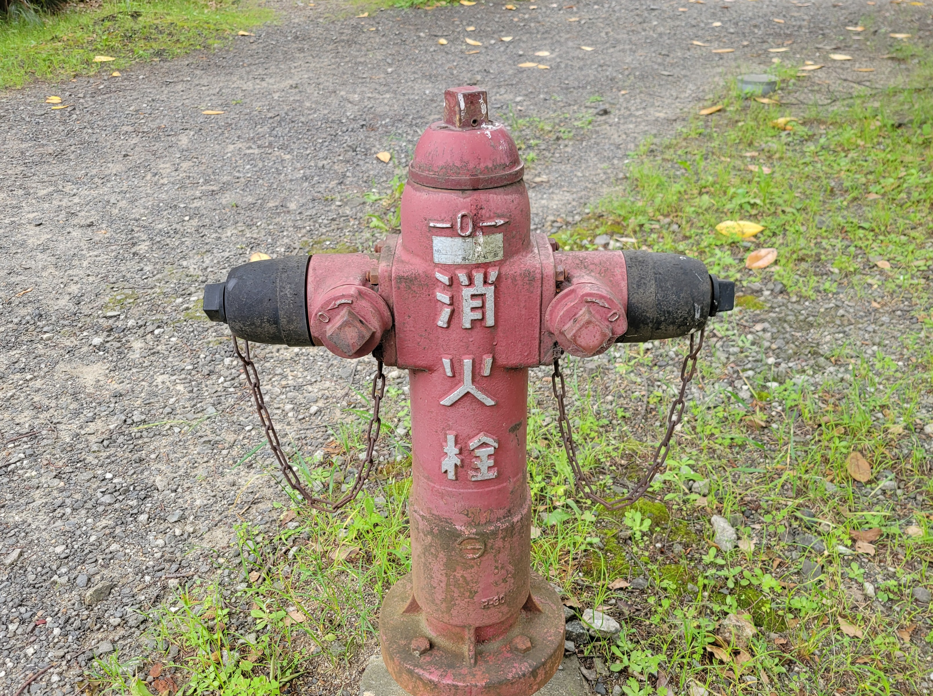 変分原理を用いた懸垂線の導出